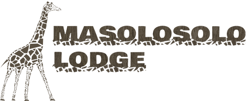 Masolosolo Lodge